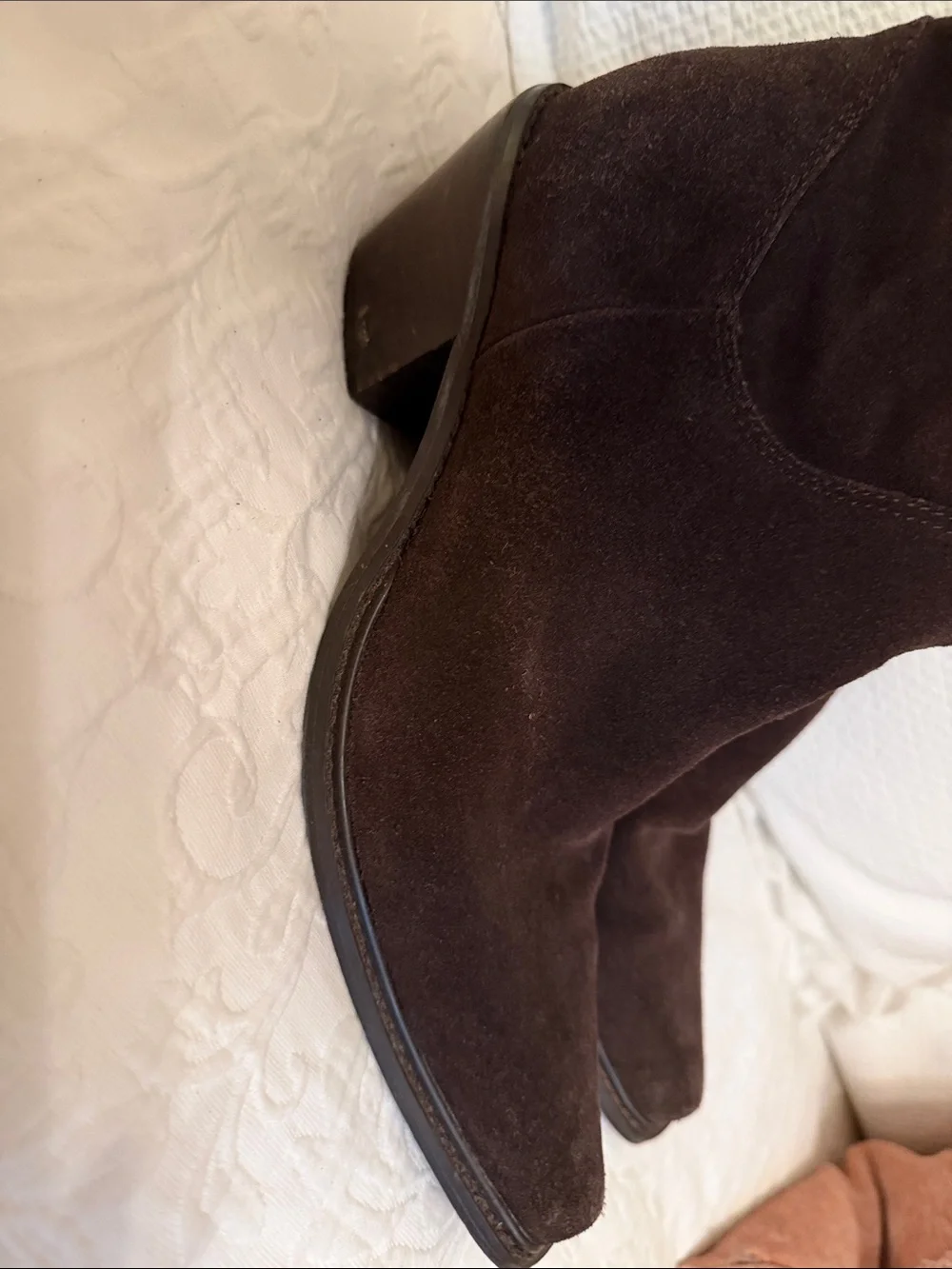Steve Madden tall suede